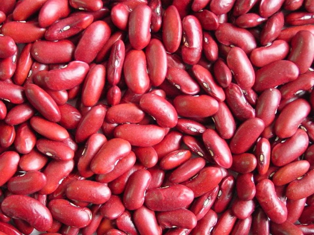 HARICOT ROUGE QUALITÉ GOJAM from Éthiopie